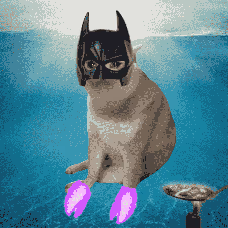 Cash Cat #7248