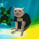 Cash Cat #9451