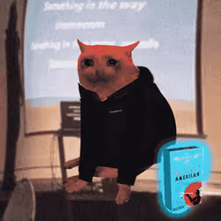 Cash Cat #9051
