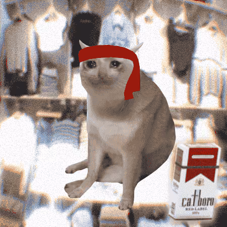 Cash Cat #7121