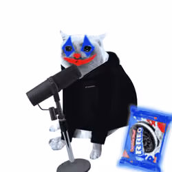 Cash Cat #7268