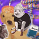 Cash Cat #4882