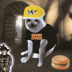 Cash Cat #3411