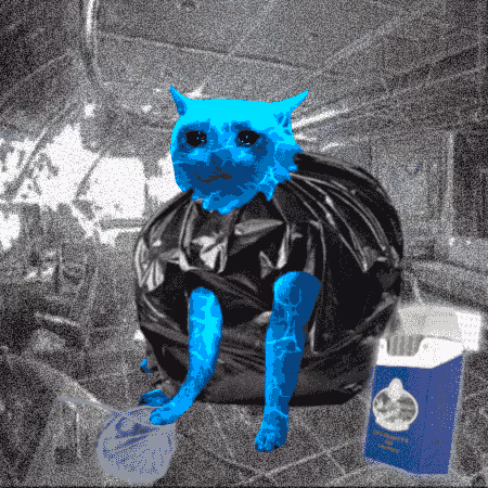 Cash Cat #5937