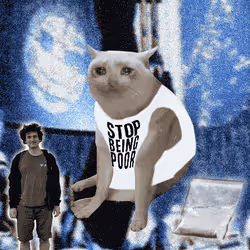 Cash Cat #2456