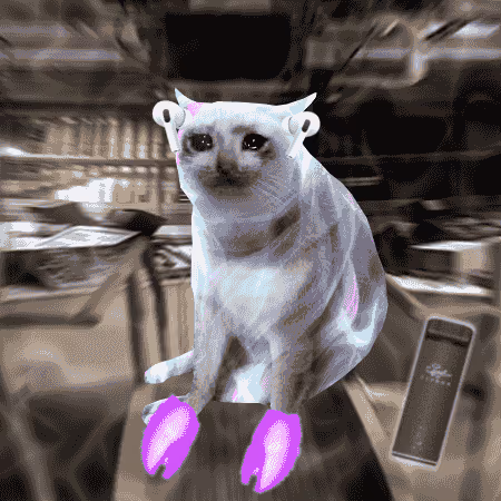 Cash Cat #7240