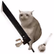 7953
