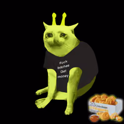 Cash Cat #7146