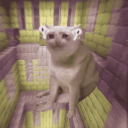 Cash Cat #1997