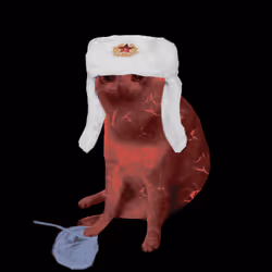 Cash Cat #6787