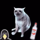 7554
