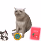 Cash Cat #5359