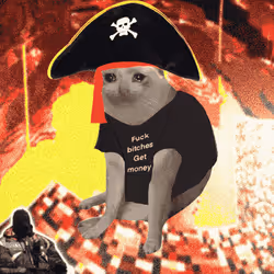 Cash Cat #360