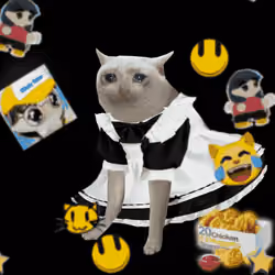 Cash Cat #4506