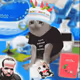Cash Cat #6070