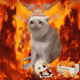 9207