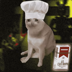 Cash Cat #3243