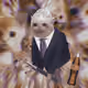 6882
