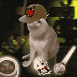 Cash Cat #9537