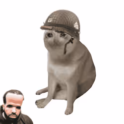 Cash Cat #1007
