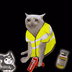Cash Cat #2342