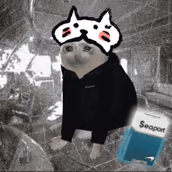 Cash Cat #4739
