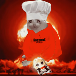 Cash Cat #674
