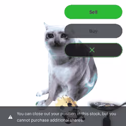 Cash Cat #9279