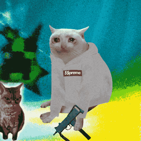 Cash Cat #3136