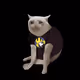 6995