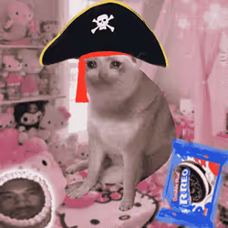 Cash Cat #3183