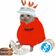 Cash Cat #7124