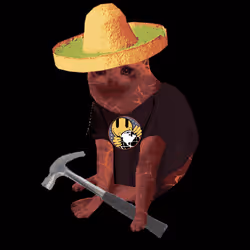 Cash Cat #3087