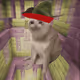 8570