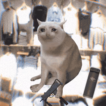 Cash Cat #1021
