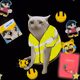 Cash Cat #7133