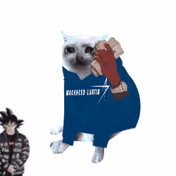 Cash Cat #5102