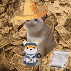 Cash Cat #8112