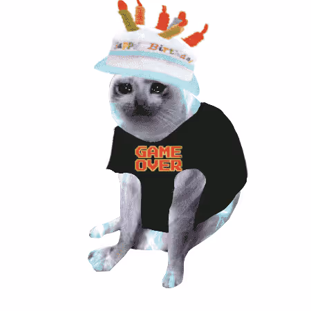 Cash Cat #7299