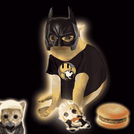 Cash Cat #7215