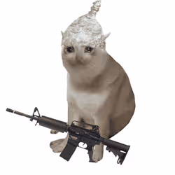 Cash Cat #2808