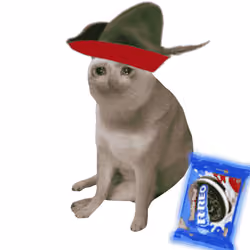 Cash Cat #4288