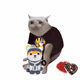 Cash Cat #7285