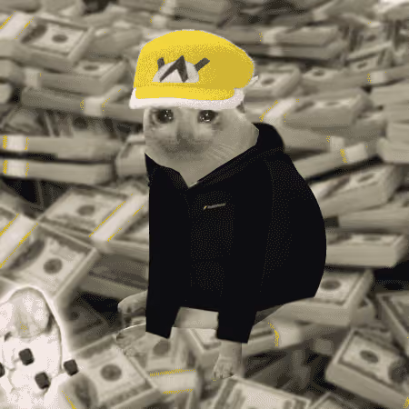 Cash Cat #3286