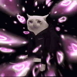 Cash Cat #2071
