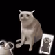 4307