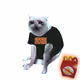 6047