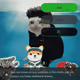 Cash Cat #6458
