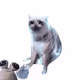 3606