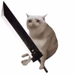 Cash Cat #6442